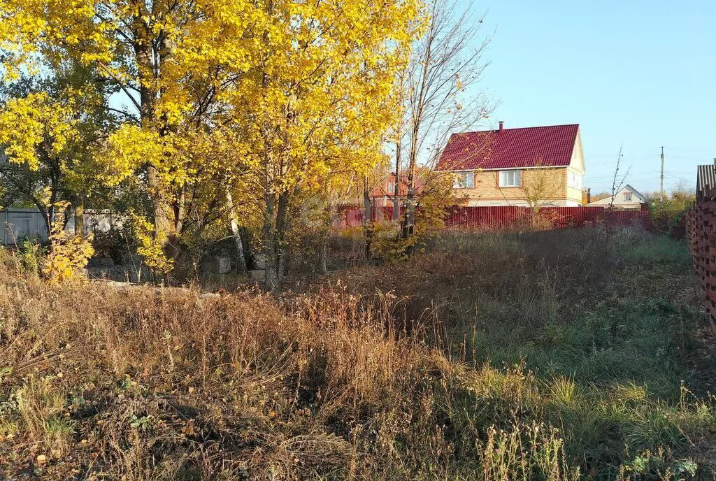 земля р-н Аннинский пгт Анна ул Совхозная Аннинское городское поселение фото 3