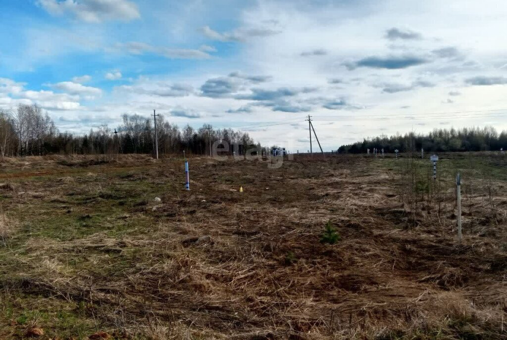 земля р-н Богородский д Касаниха фото 2