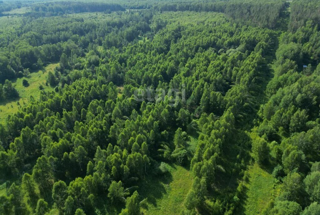 земля р-н Богородский д Касаниха фото 9