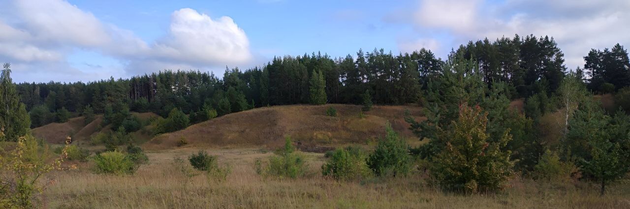 земля р-н Задонский с Казино Верхнестуденецкий сельсовет фото 2