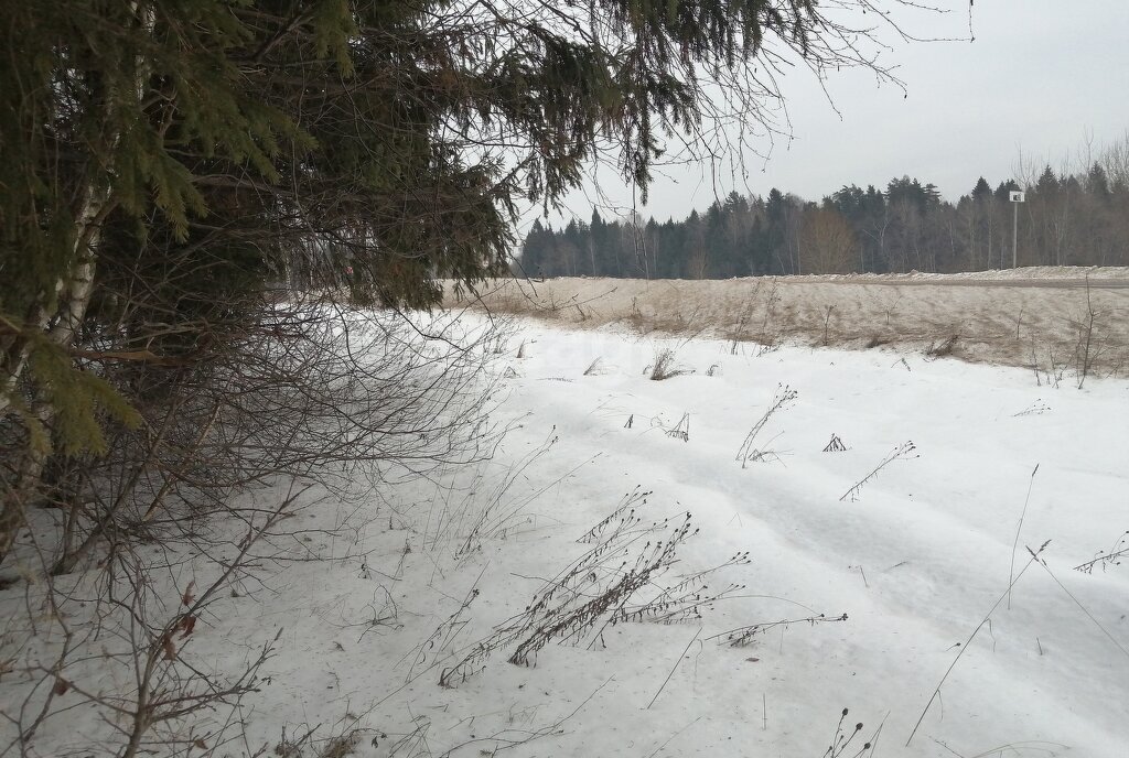 земля городской округ Дмитровский д Хорьяково Лобня фото 7