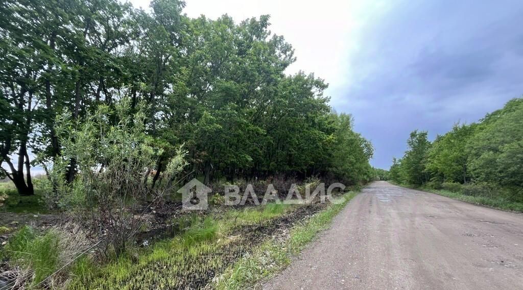 земля г Уссурийск с Борисовка ул 50 лет Октября 4 фото 6