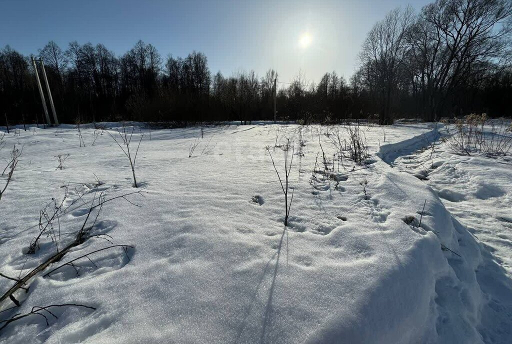 земля городской округ Дмитровский с Орудьево фото 2