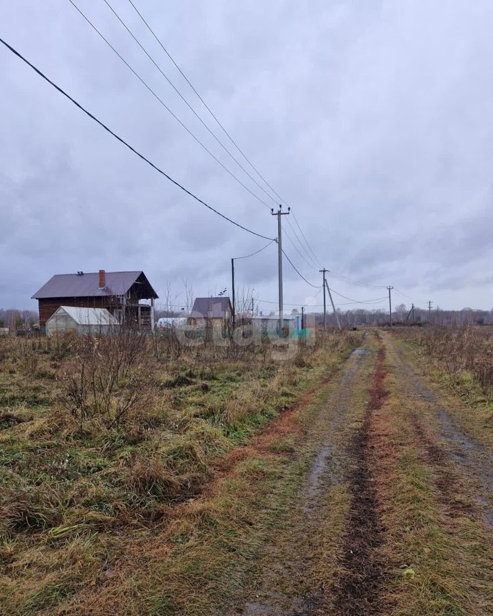 земля р-н Новосибирский п Садовый Станционный сельсовет, ДНТ Витязь, 6, Новосибирск фото 2