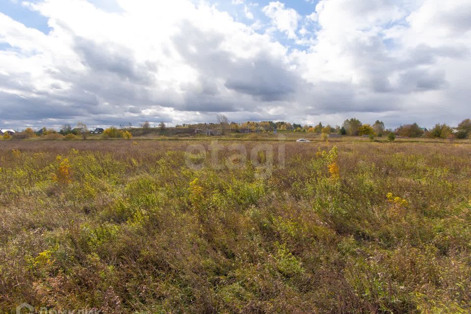 земля р-н Тюменский село Салаирка фото 3