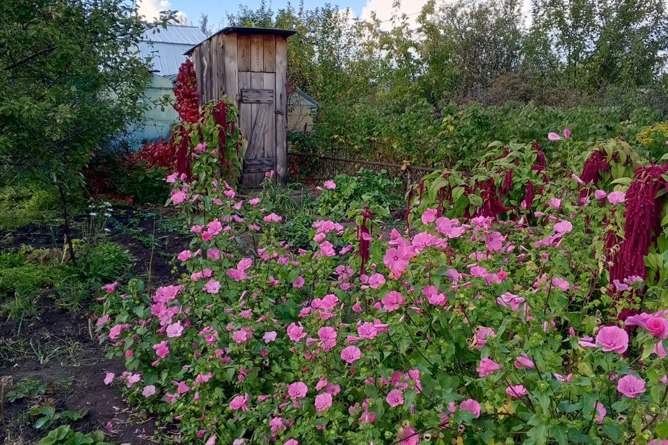 земля г Каменск-Уральский Каменск-Уральский городской округ, СТ 10 фото 3