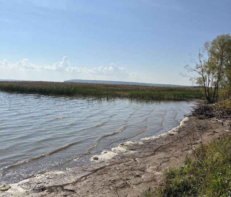 земля р-н Рыбно-Слободский с Русский Ошняк ул Молодежная Республика Татарстан Татарстан фото 1