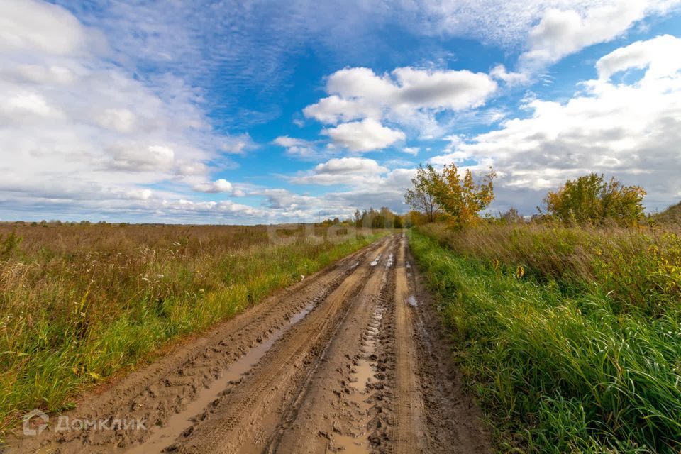 земля р-н Тюменский село Салаирка фото 6