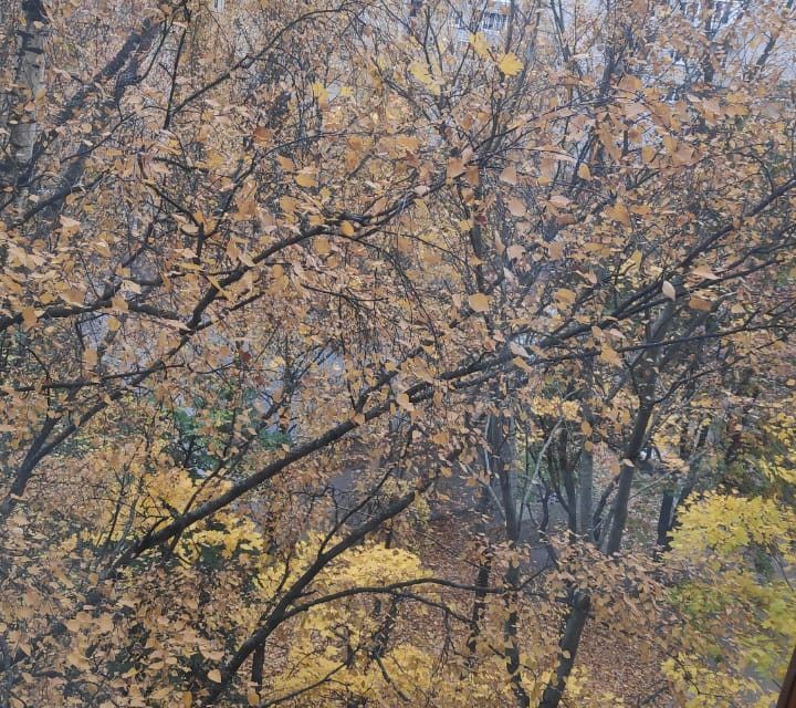 квартира г Санкт-Петербург р-н Прометей пр-кт Светлановский 109/1 Калининский фото 3