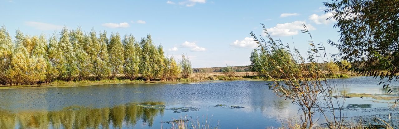 дом р-н Крутихинский с Долганка ул Заречная фото 19