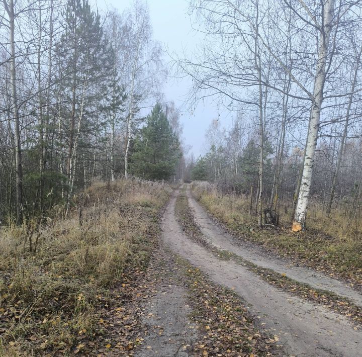 земля городской округ Орехово-Зуевский Три Сестры садовое товарищество фото 5