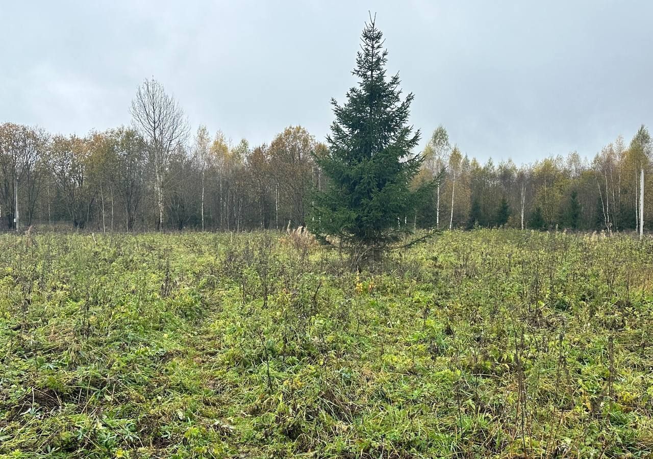 земля городской округ Клин д Вертково 68 км, Новопетровское, Новорижское шоссе фото 16