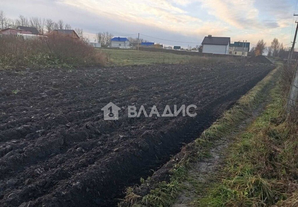 земля р-н Суздальский с Павловское ул Новая 1 муниципальное образование Павловское, Суздаль фото 3