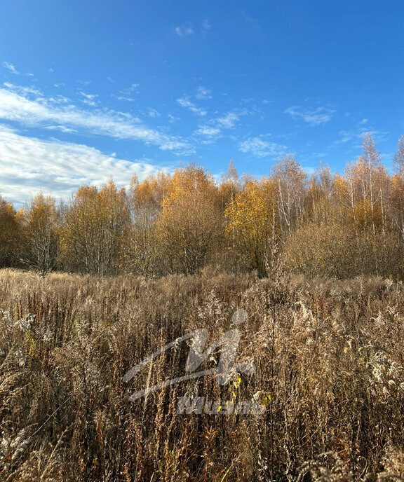 земля городской округ Серебряные Пруды д Дмитриевка фото 5