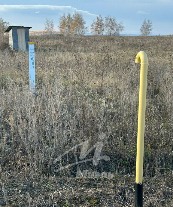 земля городской округ Серебряные Пруды д Дмитриевка фото 10