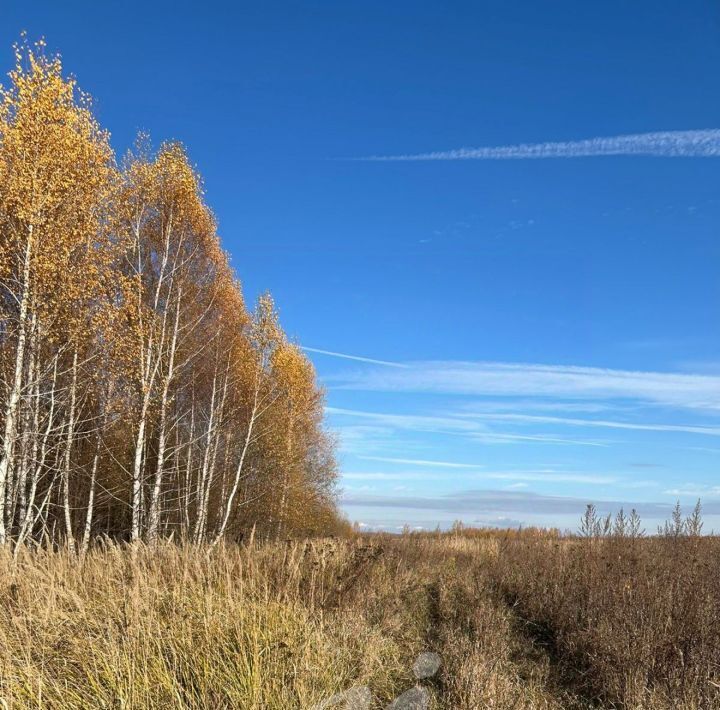 земля городской округ Серебряные Пруды д Дмитриевка фото 8