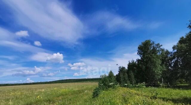 земля р-н Эхирит-Булагатский д Кударейка Кулункунское муниципальное образование фото