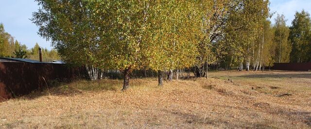 офис д Дровосеки фото