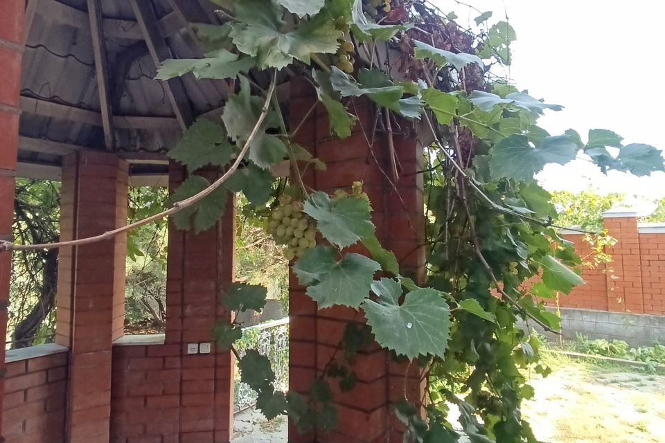 дом г Ставрополь р-н Промышленный городской округ Ставрополь, Алексея Толстого, 54 фото 4