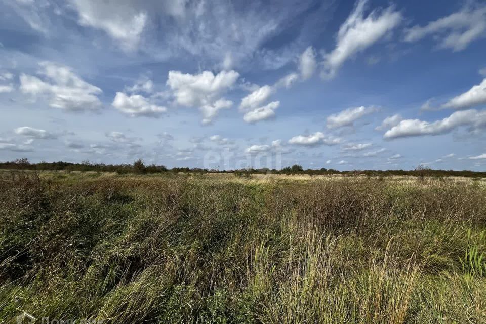 земля р-н Багратионовский г Багратионовск фото 4