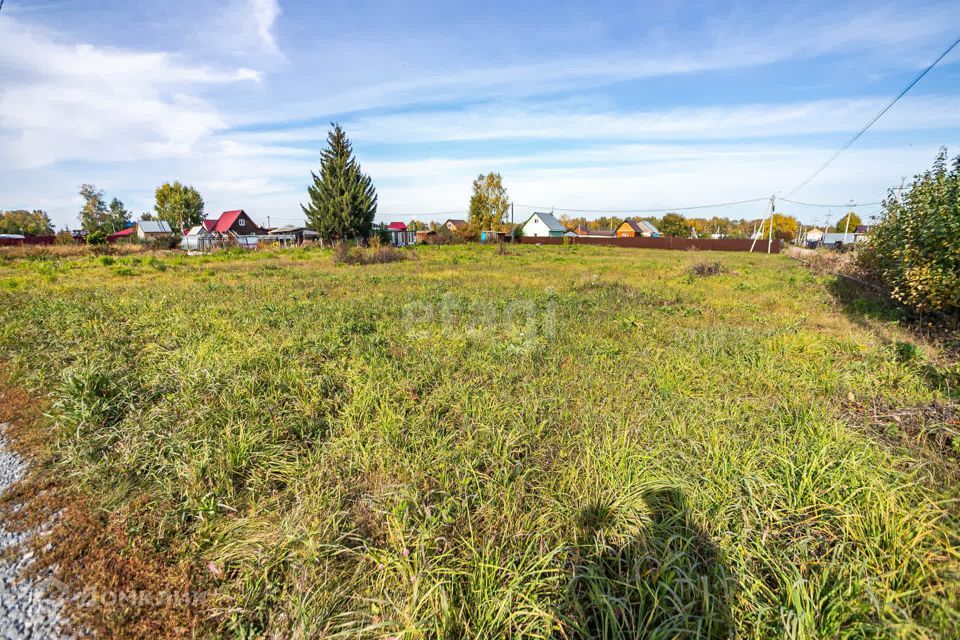 земля г Бердск городской округ Бердск, СНТ Марьин Лог фото 3