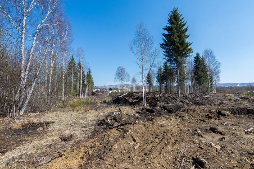 земля г Златоуст Златоустовский городской округ, квартал Орловский фото 4