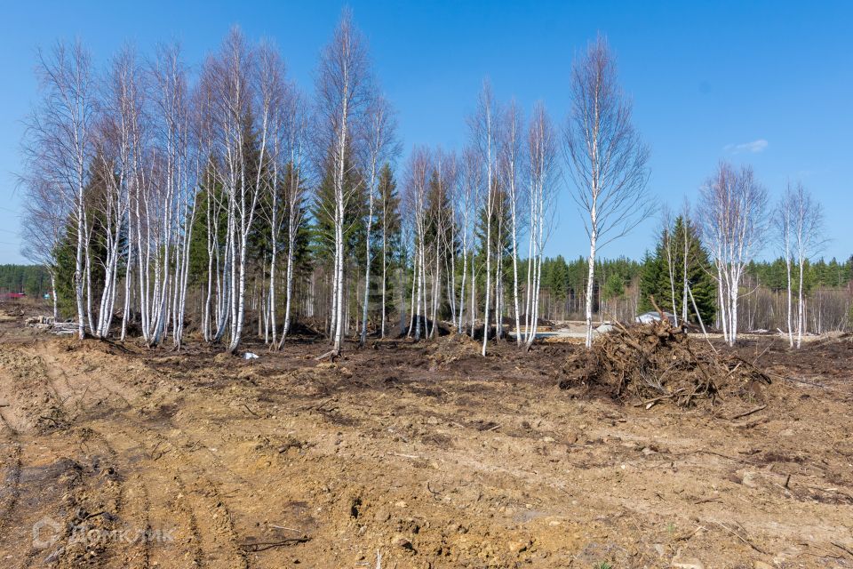 земля г Златоуст Златоустовский городской округ, квартал Орловский фото 7