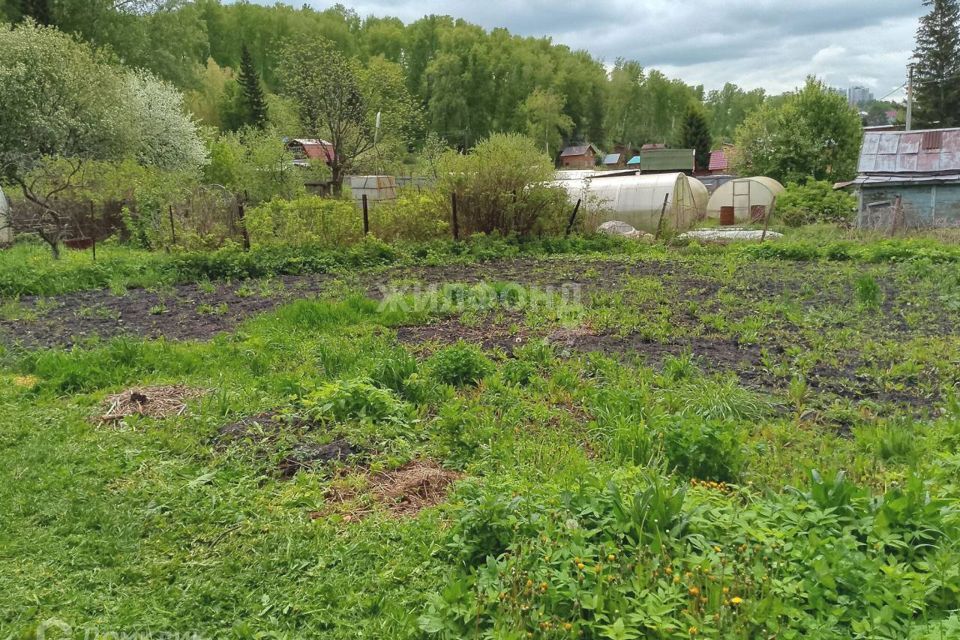 дом г Новосибирск р-н Дзержинский СНТ Печатник, городской округ Новосибирск фото 5