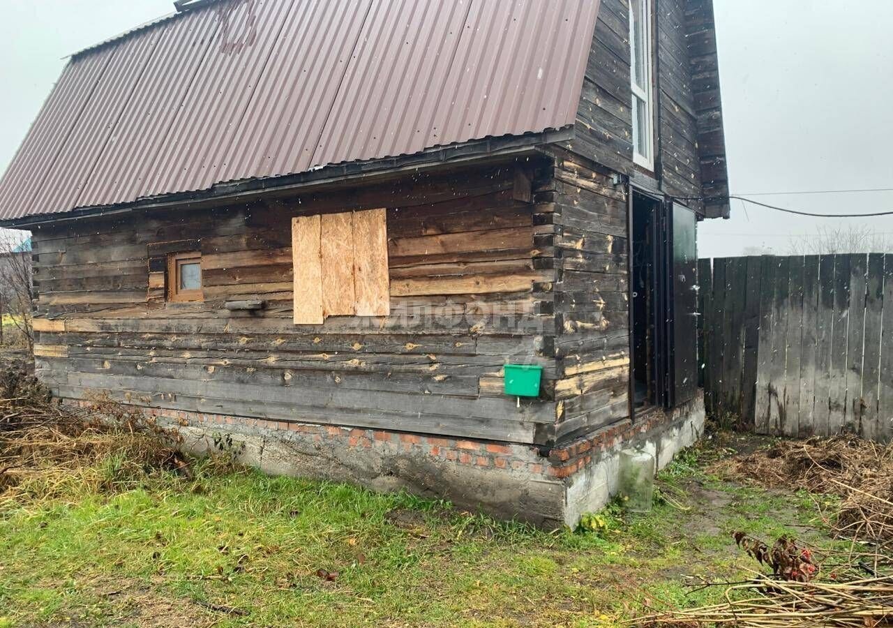 дом р-н Новосибирский с Новолуговое ул Андреева Новолуговской сельсовет фото 4