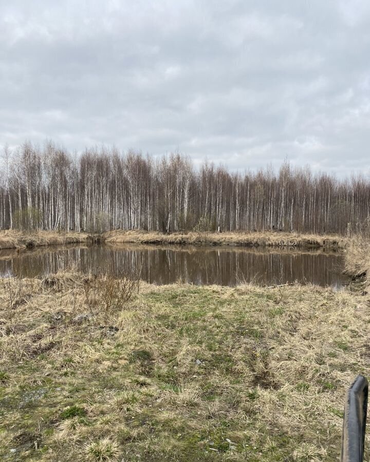 земля г Верхняя Пышма тер СТСН Трест Уралцветметразведка Старотагильский тракт, 22 км, Среднеуральск фото 7