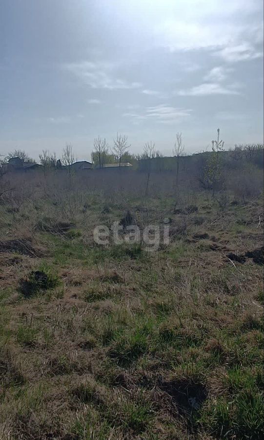 земля р-н Губкинский с Аверино ул Центральная Губкин фото 8