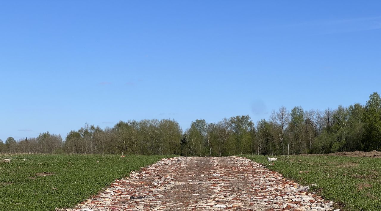 земля городской округ Истра д Карцево 709 фото 8