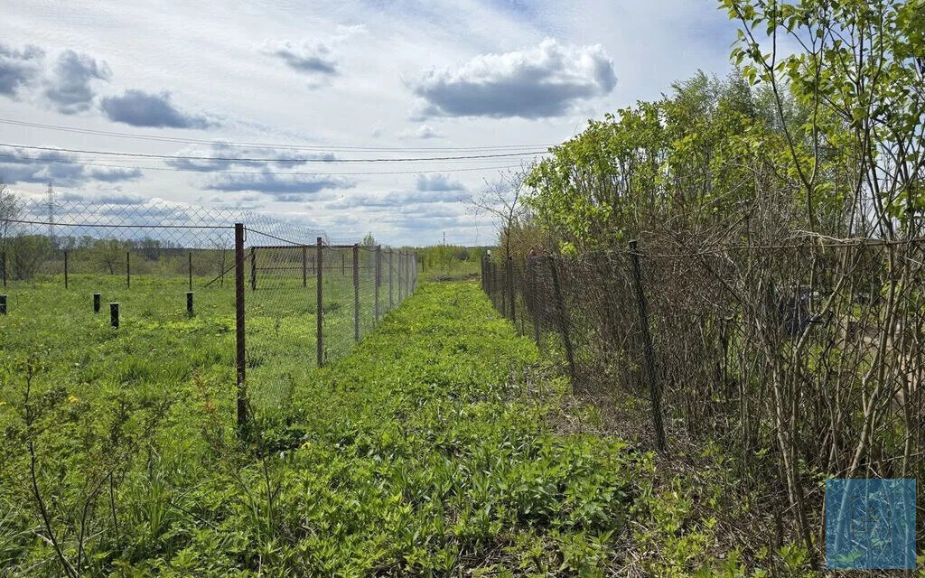 земля городской округ Солнечногорск д Мошницы Зеленоград — Крюково фото 5