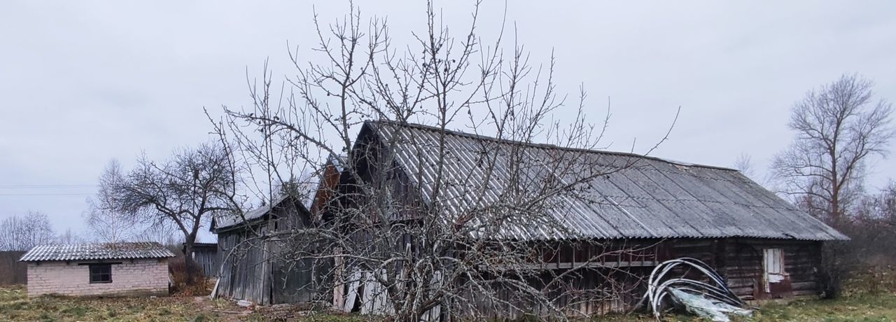 земля р-н Красногородский д Иванцево Красногородск фото 27