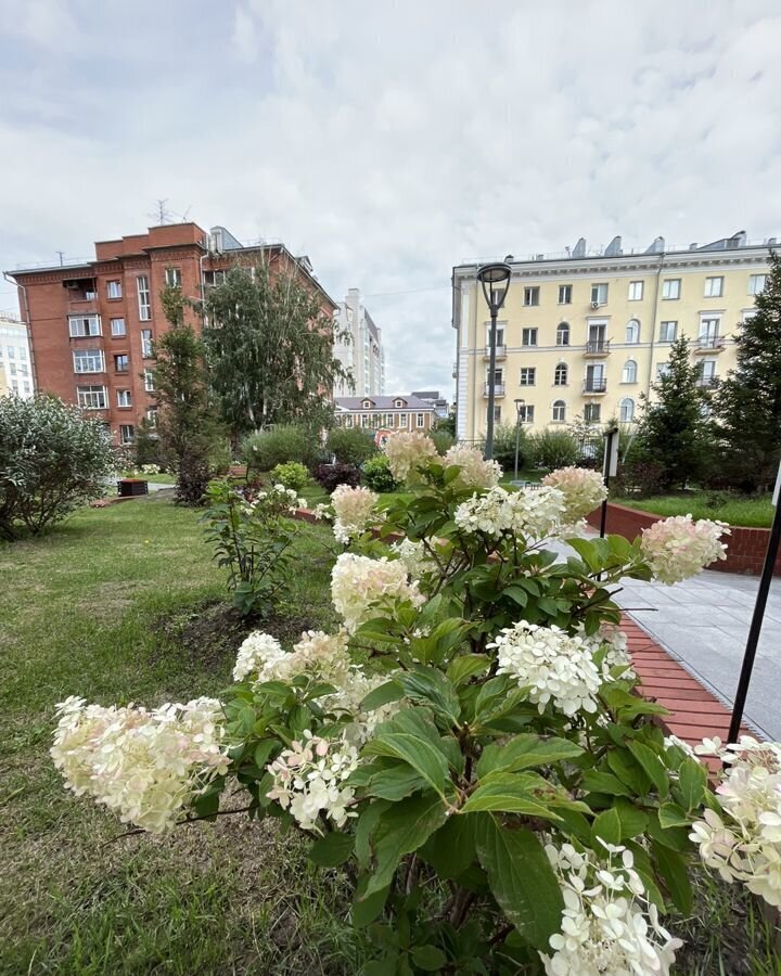 квартира г Новосибирск р-н Железнодорожный ул Коммунистическая 10 Площадь Ленина фото 23