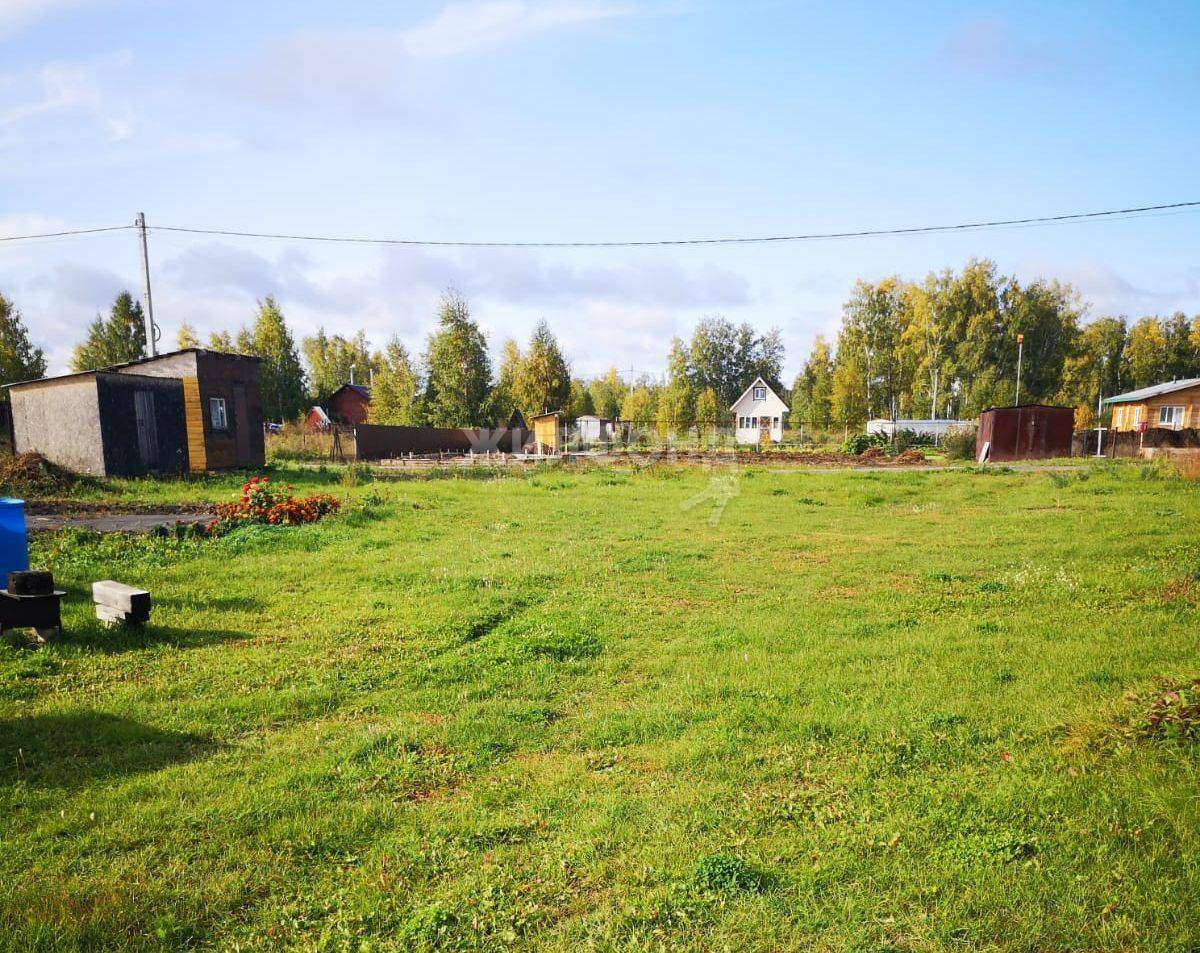 дом р-н Новосибирский с Боровое Боровская радуга территория снт фото 4