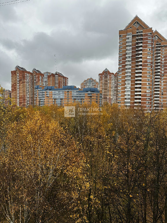 квартира г Москва метро Проспект Вернадского ул Удальцова 10 муниципальный округ Проспект Вернадского фото 13