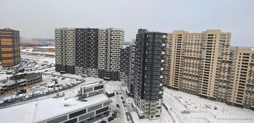 квартира г Санкт-Петербург метро Ломоносовская ул Русановская 19к/2 Ленинградская область фото 4