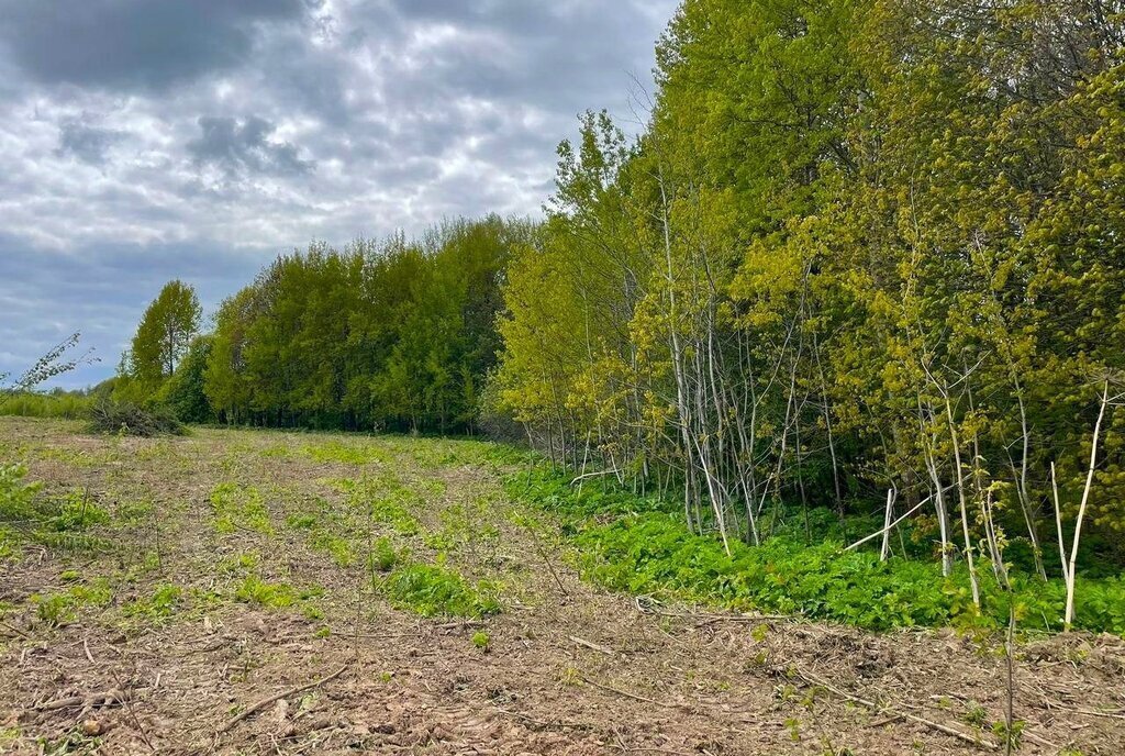 земля городской округ Дмитровский коттеджный поселок «Сорочаны» городской округ Клин фото 25