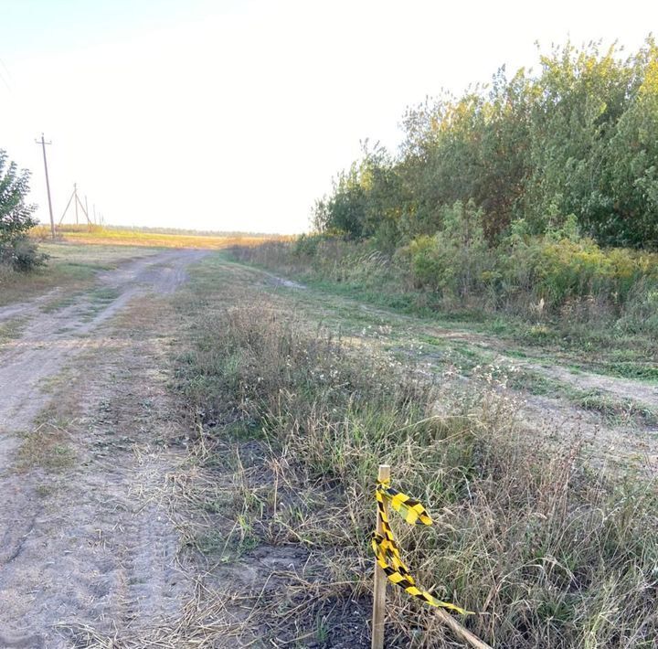 земля г Брянск рп Радица-Крыловка Бежицкий район р-н Бежицкий Бежицкая ул., 286Б фото 2