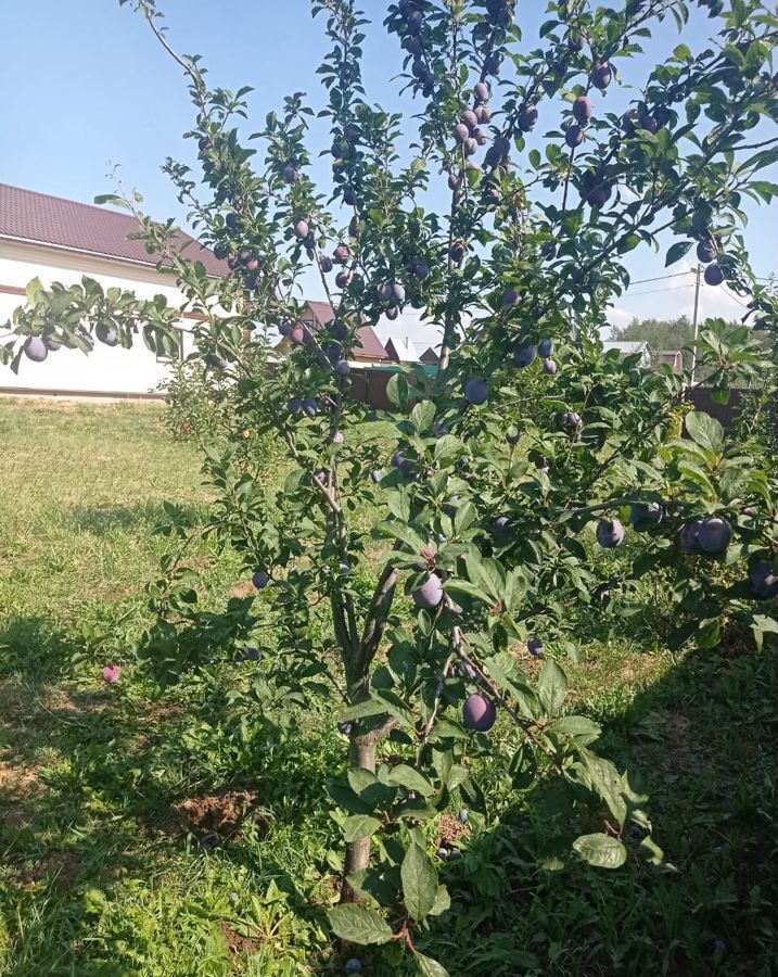 дом городской округ Дмитровский п Новосиньково 52 км, садовые участки Дмитроград, Дмитровское шоссе фото 30