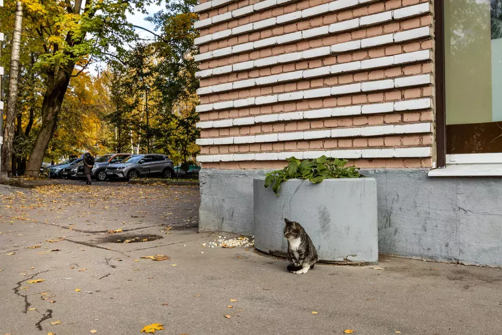 квартира Пушкин, Ленинградская улица, 55 фото 30