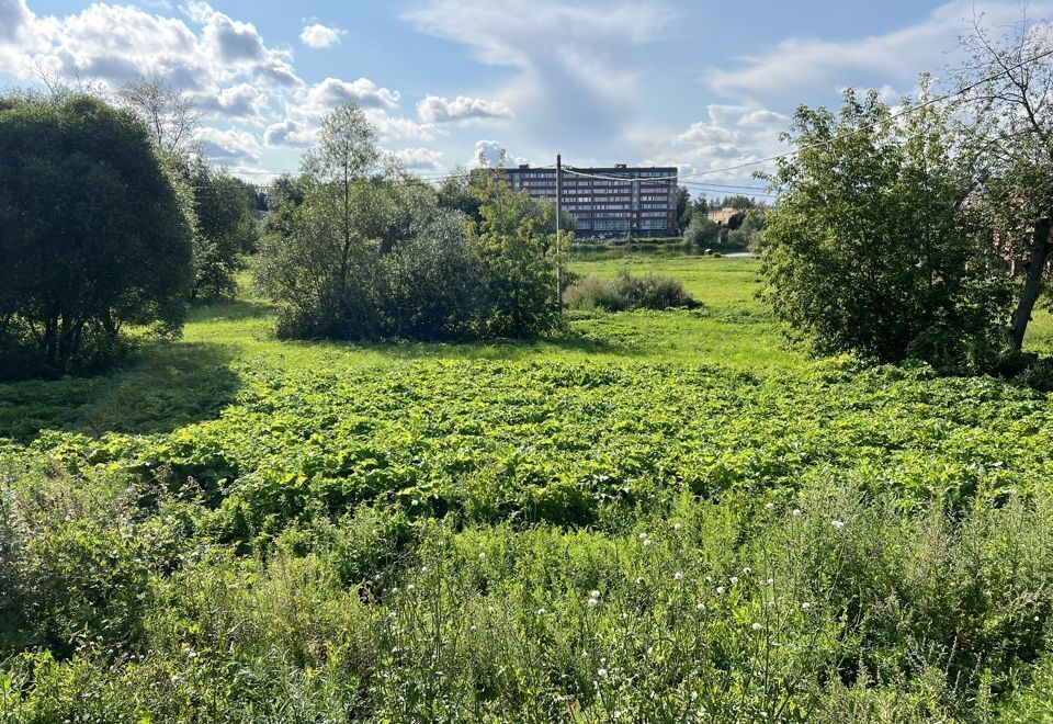 земля городской округ Истра д Павловское 28 км, Снегири, Волоколамское шоссе фото 2