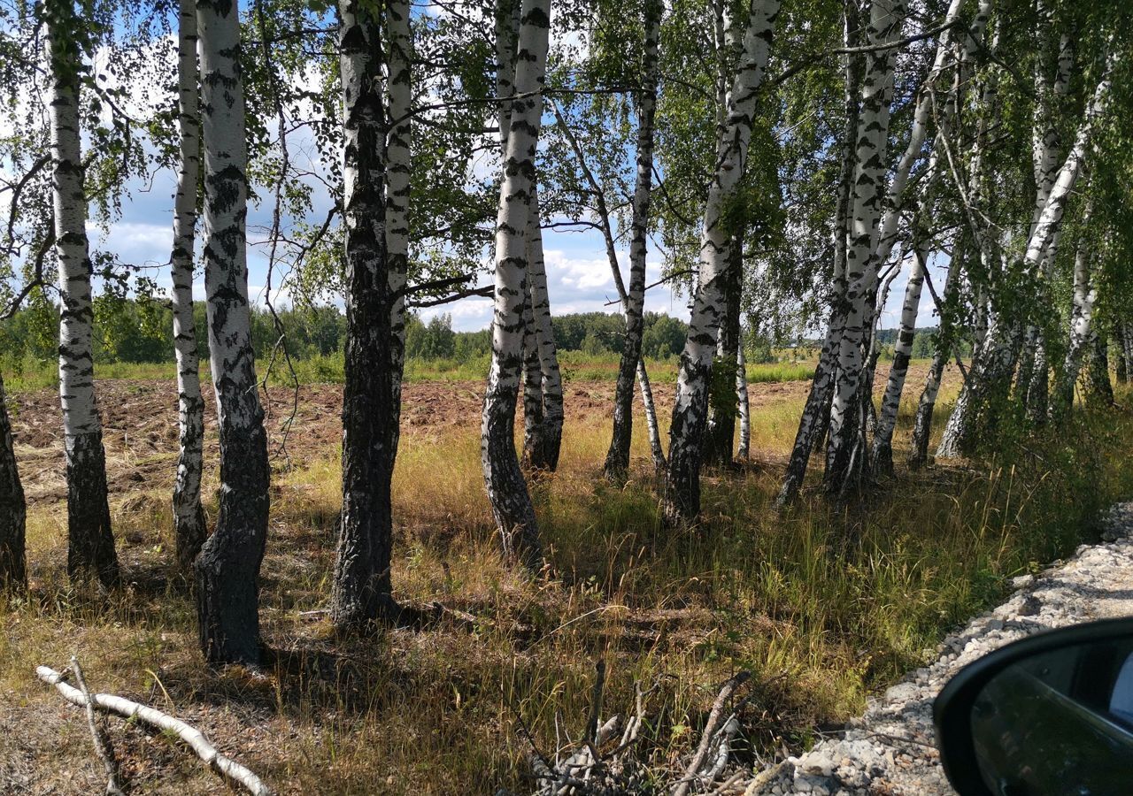 земля р-н Веневский п Оленьковский Мордвесское, муниципальное образование, Венев фото 11