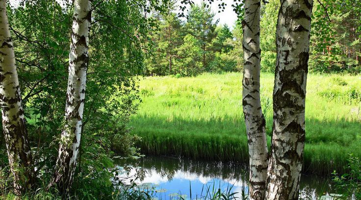 дом городской округ Одинцовский д Немчиново Кунцевская фото 2