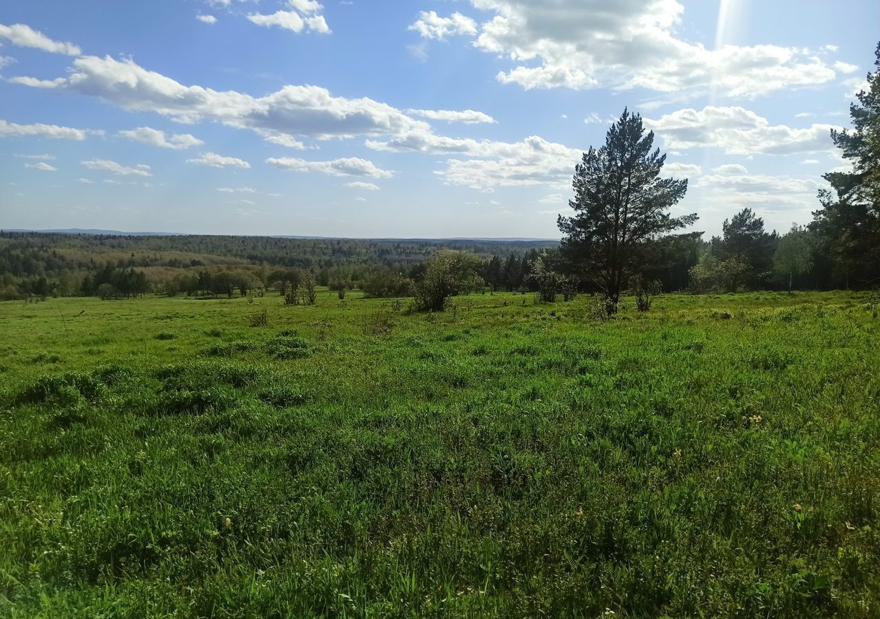 дом р-н Нязепетровский г Нязепетровск ул Революционная 2 пос. железнодорожная станция Табуска фото 30