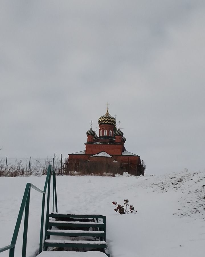 дом р-н Рамонский снт Танаис Русскогвоздёвское сельское поселение, 227, Воронеж фото 6