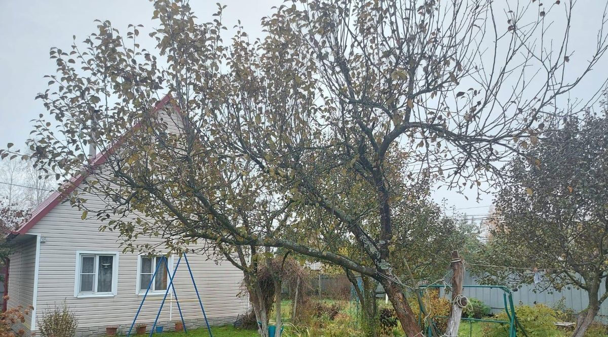 дом г Москва п Десеновское д Власьево снт Лесное ТиНАО Новомосковский, 211 фото 10