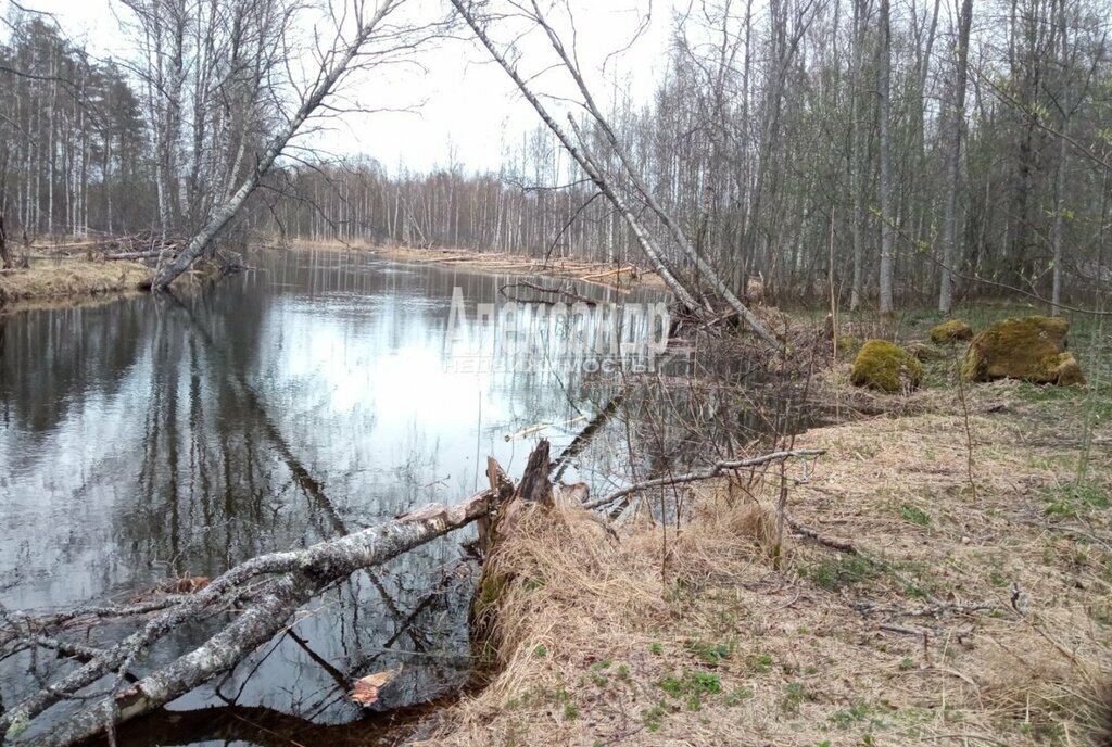 земля р-н Приозерский п Торфяное Мельниковское сельское поселение фото 2