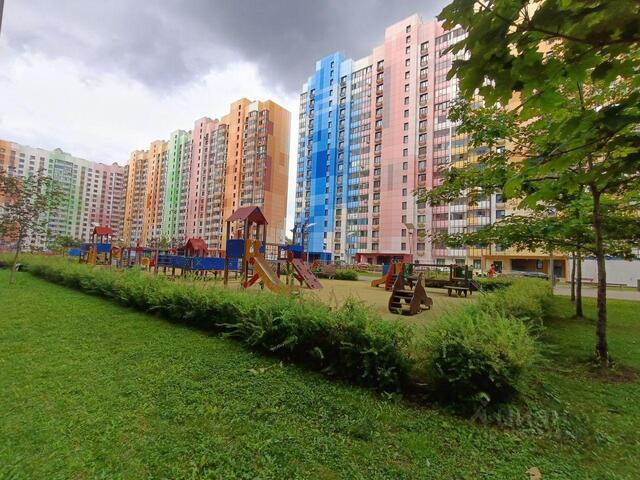 Московская область фото